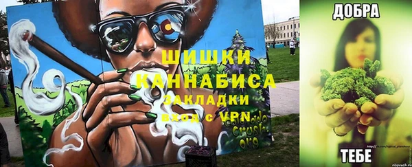 сатива Беломорск