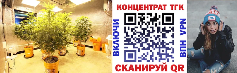 ОМГ ОМГ ссылка  Шагонар  ТГК гашишное масло 