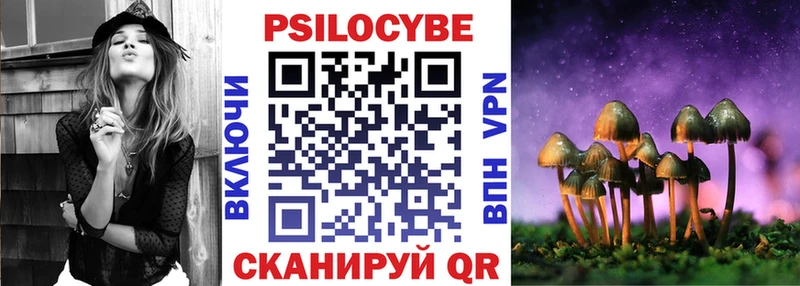 Псилоцибиновые грибы MAGIC MUSHROOMS  купить закладку  гидра рабочий сайт  Шагонар 